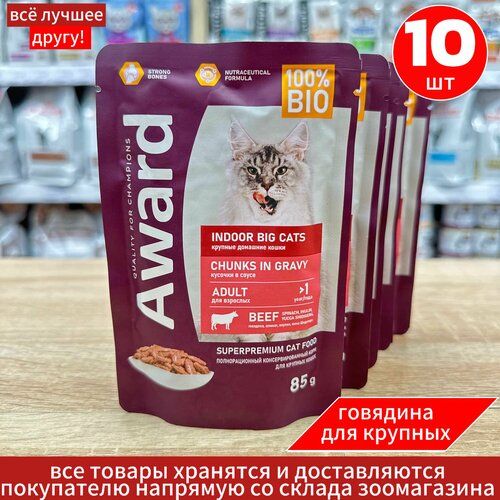 Влажный корм AWARD Indoor big cats для взрослых домашних кошек крупных пород кусочки в соусе с говядиной 85г х 10шт