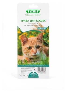 TiTBiT Трава для кошек (пшеница) 9437 0,05 кг 25415 (10 шт)