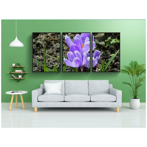 фото Набор модулных постеров для интерьера "крокусы, весенние цветы, весна" 60x90 см. в тубусе, без рамки lotsprints