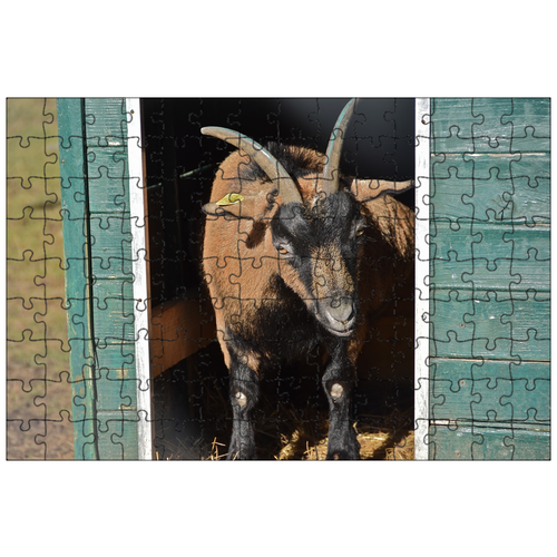 фото Магнитный пазл 27x18см."коза, кабина, рога" на холодильник lotsprints