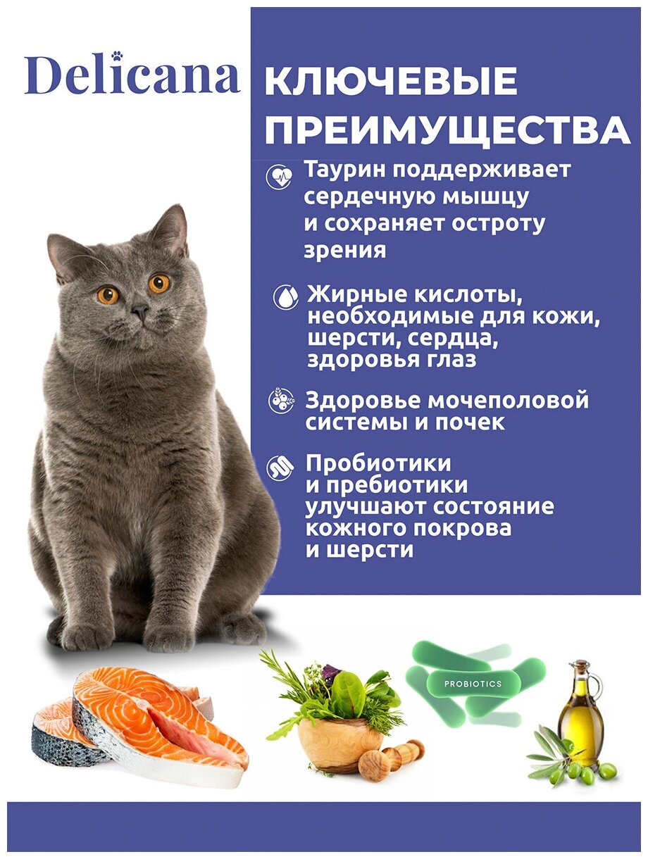 DELICANA Корм сухой для кошек Лосось, 8 кг - фотография № 15
