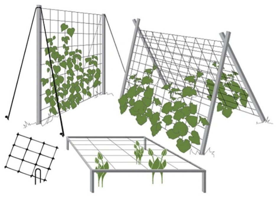 Шпалерная сетка для огурцов и вьющихся растений "Interlok" (размер 2 м х 10 м) - фотография № 6