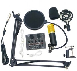 Профессиональный конденсаторный студийный микрофон для живого вокала Professional Condenser Microphone Bm-800 (набор)