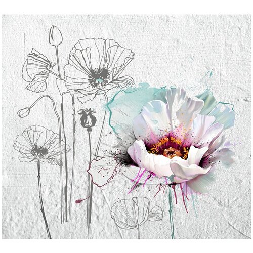 Фотообои Дизайнерские Маки в серых тонах 7710₽