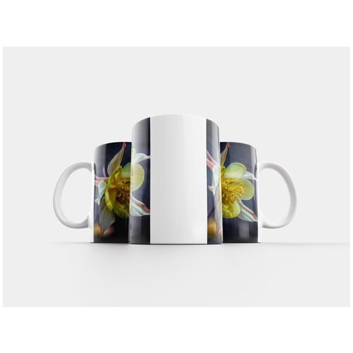 фото Кружка "колумбия, цветок, цвести" 320 мл lotsprints