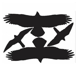 Наклейки-стикеры «Силуэты хищных птиц» Вариант 1