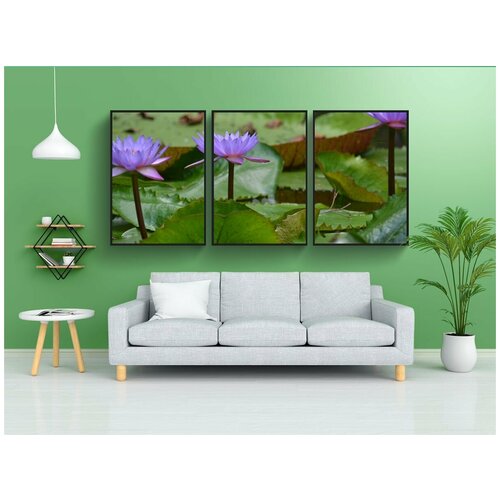 фото Набор модулных постеров для интерьера "витория régia, амазонка, лес" 60x90 см. в тубусе, без рамки lotsprints