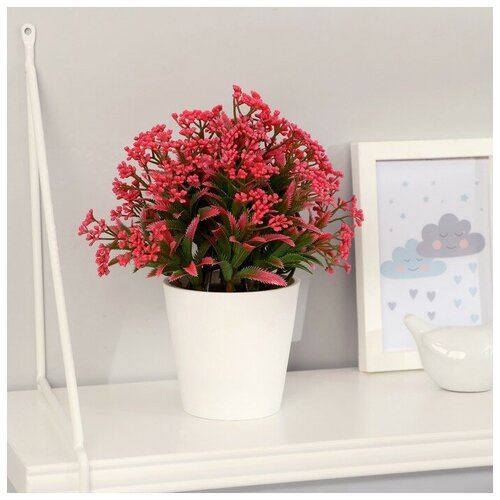 RAYDAY Бонсай Сурепка восточная 95х20см микс 1340₽