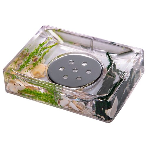 Мыльница Оушен