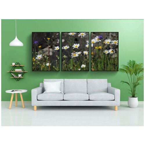 фото Набор модулных постеров для интерьера "цветы, поле, альпийские" 60x90 см. в тубусе, без рамки lotsprints