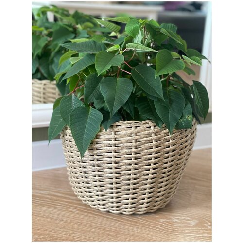 Кашпо из ротанга, кашпо для цветов, горшок для цветов, 25/33/33