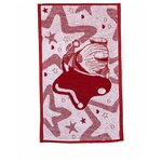 Полотенце махровое 67х40см, 6с104.411ж1, Речицкий текстиль, Гном и звезда - изображение