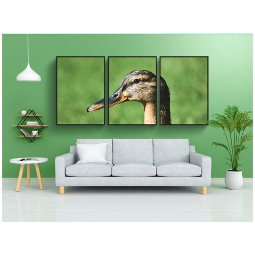 фото Набор модулных постеров для интерьера "кряква, утка, водоплавающая птица" 60x90 см. в тубусе, без рамки lotsprints