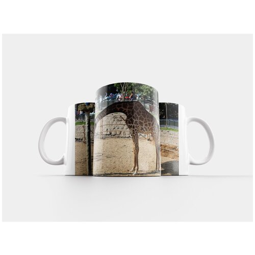 фото Кружка "утки, озеро, зоопарк" 320 мл lotsprints