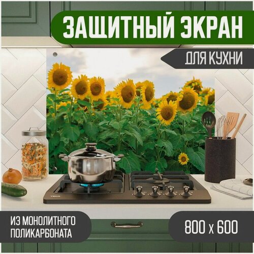 Изображение товара Защитный экран из акрилового стекла (поликарбонат) на кухонный фартук в зону мойки и плиты с фотопечатью. Панель на стену с рисунком Цветы 800 х 600 х 3 мм, 800-057-1