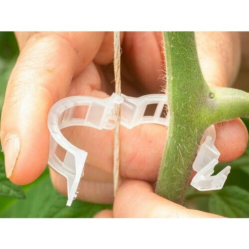Клипса для подвязки растений 100ШТ новинкагпб 627₽