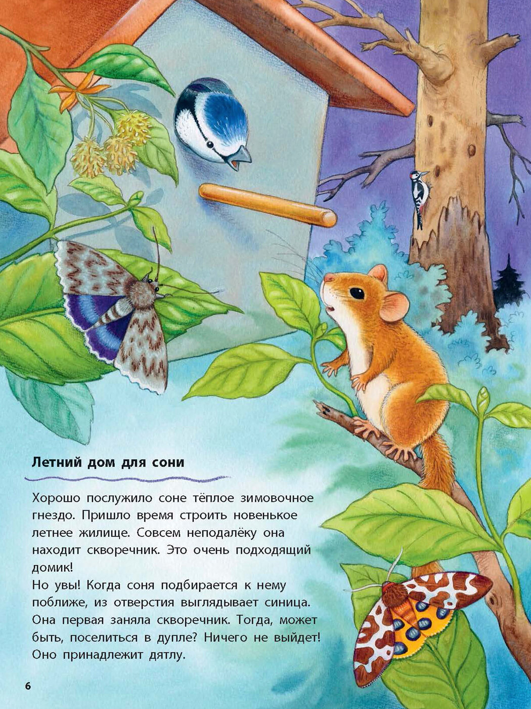 Кто такая орешниковая соня Познавательные истории - фото №3