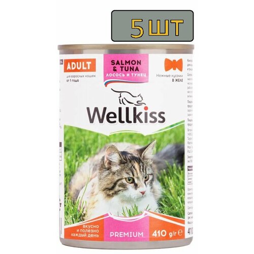 5 шт. Wellkiss Влажный корм (консервы) для кошек, нежные кусочки с лососем и тунцом в желе, 410 гр.