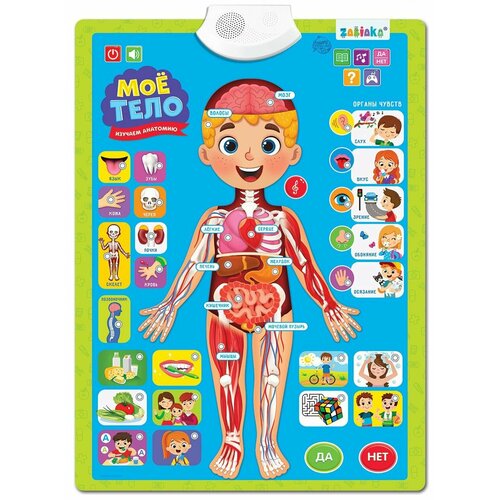 фото Обучающий электронный плакат "изучаем анатомию: моё тело" для детей, умная игрушка на батарейках со звуковыми эффектами zabiaka