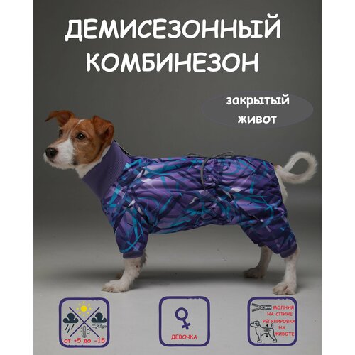 Комбинезон для собак DOGMODA Классик девочка фиолет размер 3