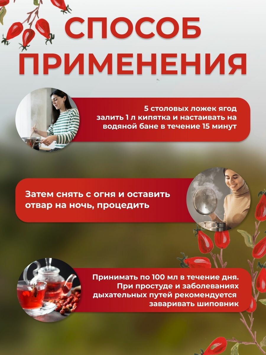 Шиповник из Таджикикстана - 100% натуральный продукт высшего сорта