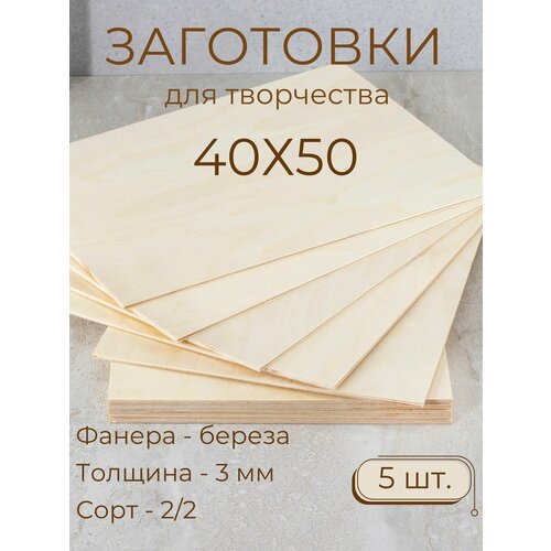 Заготовки для творчества выжигания Мастер Рио фанера 40х50 см 5 шт бежевый 1208₽