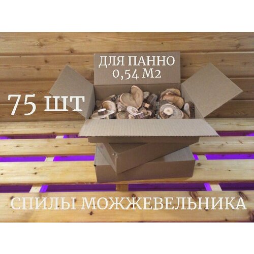 Спилы сибирского можжевельника 75шт нешлифованные