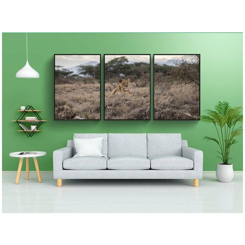 фото Набор модулных постеров для интерьера "лев, женский пол, животное" 60x90 см. в тубусе, без рамки lotsprints