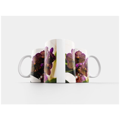 фото Кружка "орхидея, цвести, цветок" 320 мл lotsprints