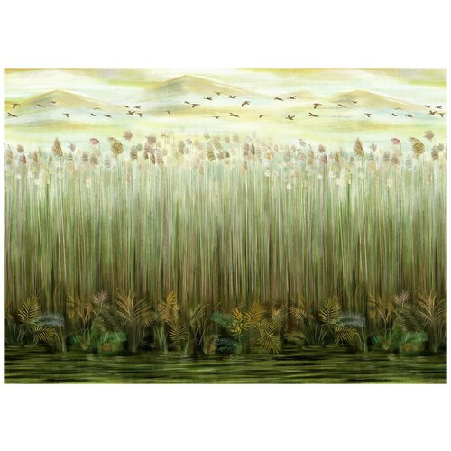 Тростник - Виниловые фотообои, (211х150 см) цветочный фасад виниловые фотообои 211х150 см