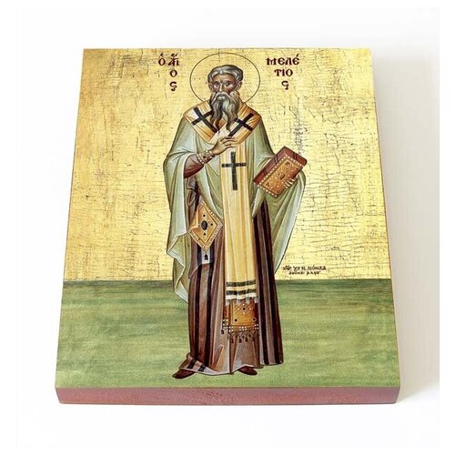 Святитель Мелетий, архиепископ Антиохийский, икона на доске 13*16,5 см святитель порфирий архиепископ газский икона на доске 13 16 5 см
