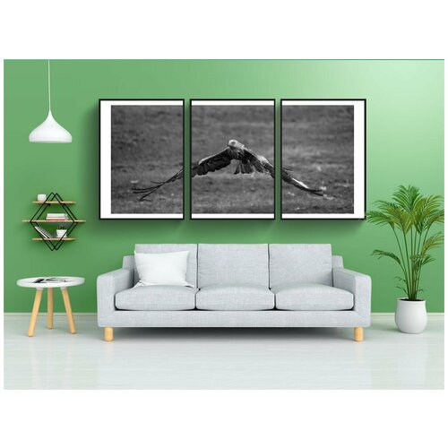 фото Набор модулных постеров для интерьера "летающий змей, красный, птица" 60x90 см. в тубусе, без рамки lotsprints