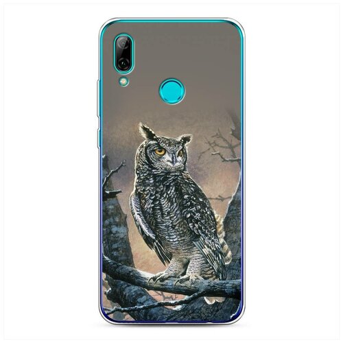 фото Силиконовый чехол "сова арт 5" на huawei p smart 2019 / хуавей п смарт 2019 case place
