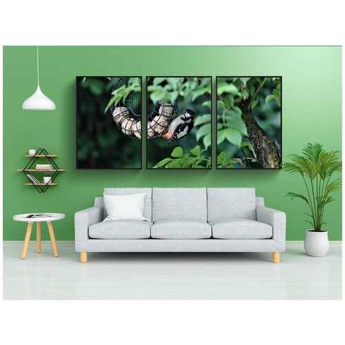 фото Набор модулных постеров для интерьера "дятел, жировые шарики, птица" 60x90 см. в тубусе, без рамки lotsprints