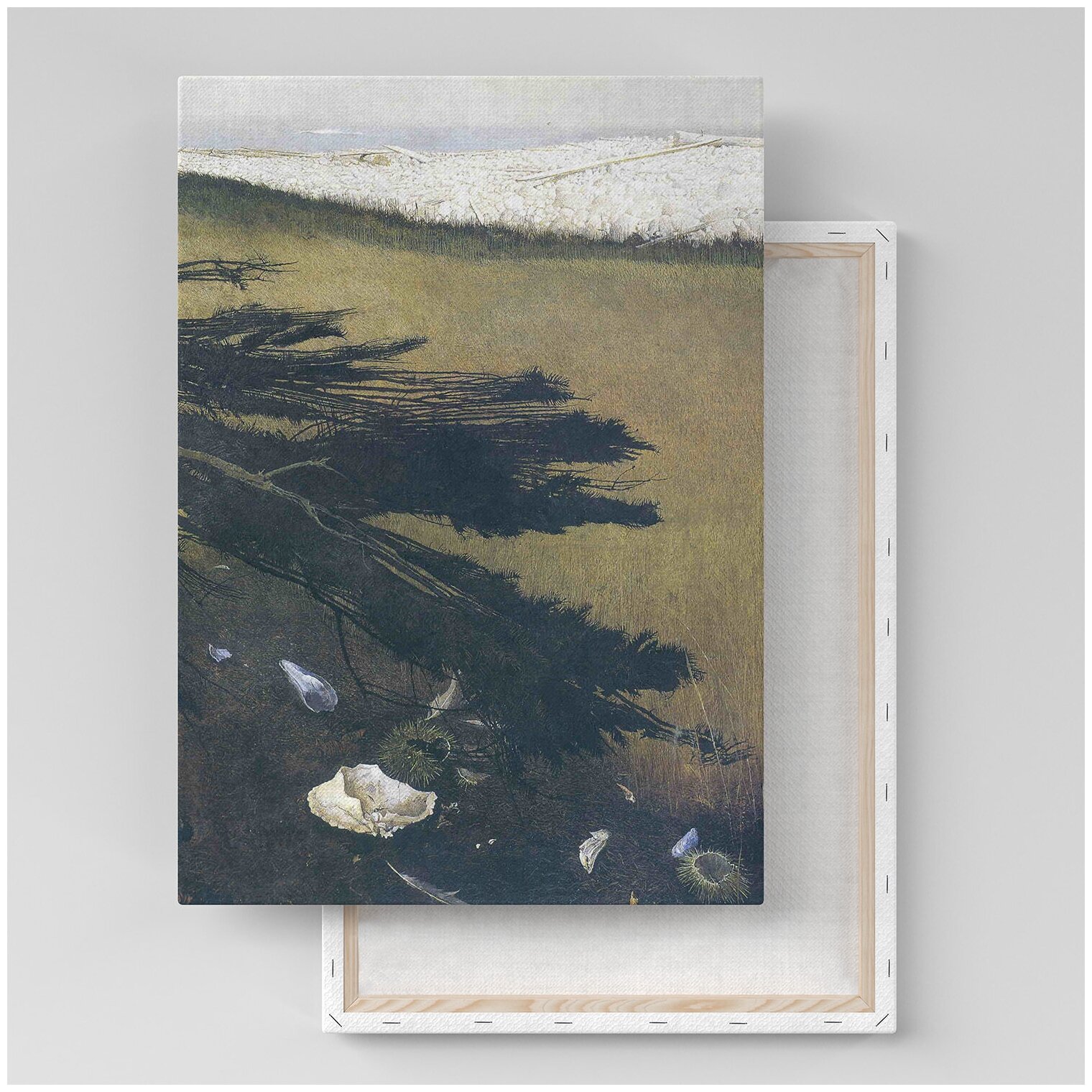 Картина на холсте с подрамником / Wyeth Andrew / Уайет Эндрю