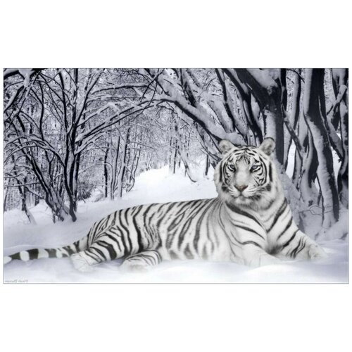 Схема для вышивания бисером Белый тигр 60x40 см