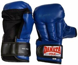 Перчатки для рукопашного боя Danata Star Динамо 8 oz синий