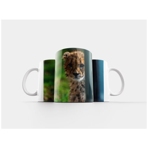 фото Кружка "дикая природа, млекопитающее, кот" 320 мл lotsprints