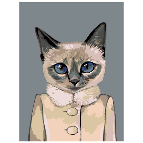Картина по номерам, Живопись по номерам, 54 x 72, A297, кошка, пальто, голубые глаза, уши, рисунок