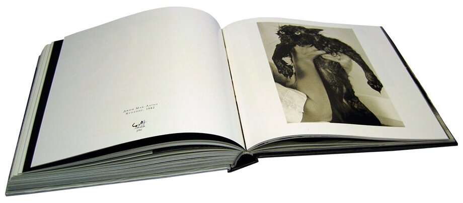 Большая книга кошек (Суаре Жан Клод) - фото №7