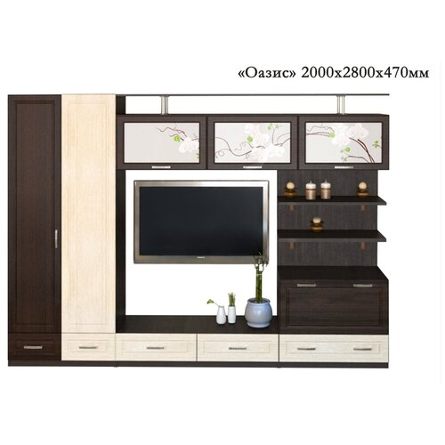 Стенка Оазис