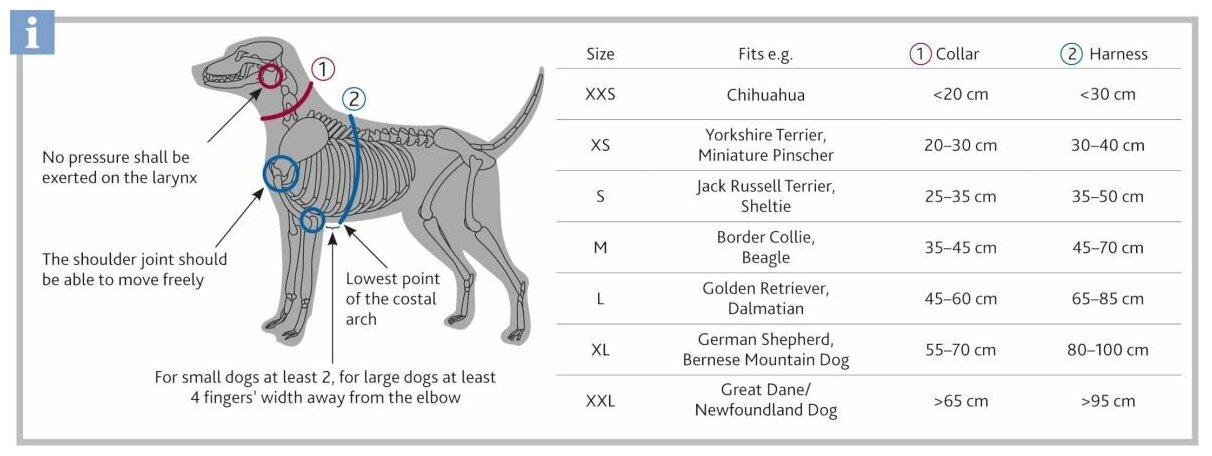 Схема ошейника для собак