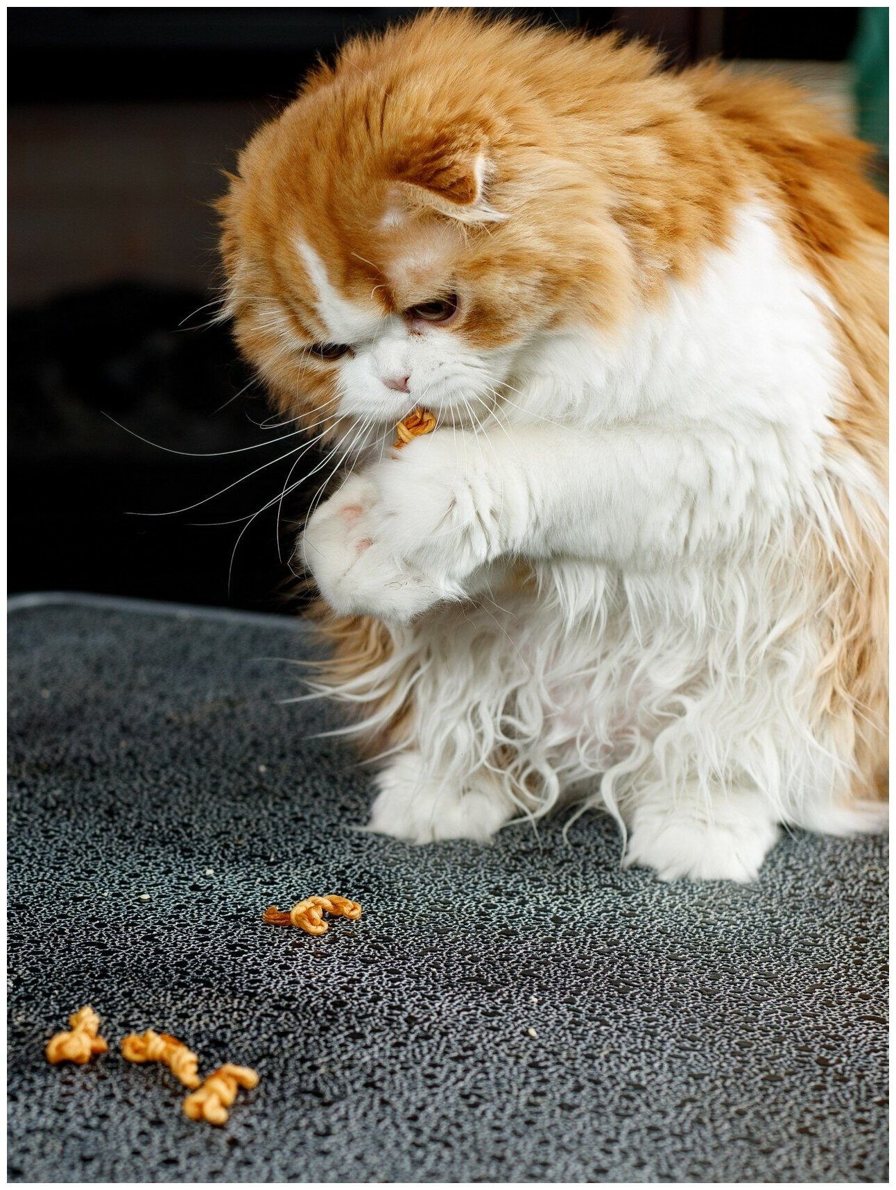 Лакомство для кошек Japan Premium Pet веревки для уничтожения запаха из пасти с коллагеном - фотография № 6