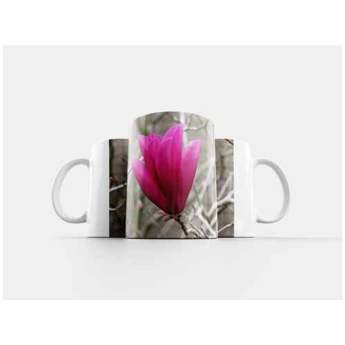 фото Кружка "природа, флора, цветок" 320 мл lotsprints