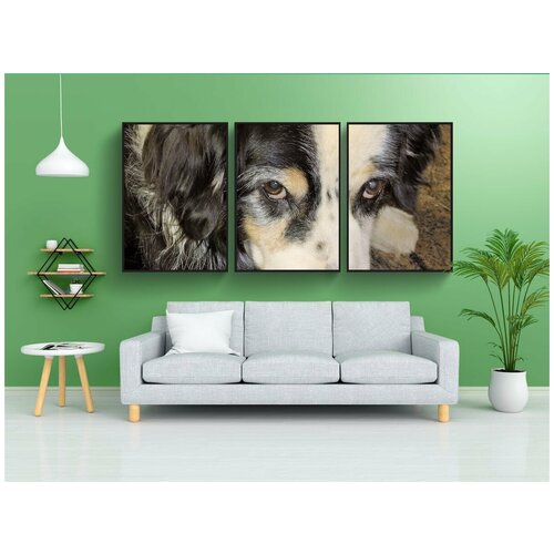 фото Набор модулных постеров для интерьера "собака, австралия шепард, чернить" 60x90 см. в тубусе, без рамки lotsprints