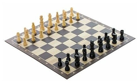 Настольная игра Spin Master Шахматы классические 6033313