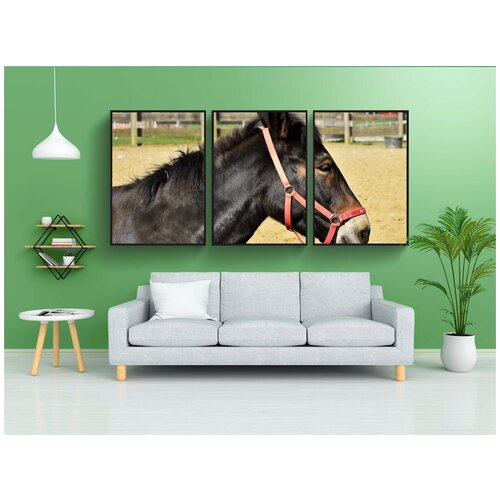 фото Набор модулных постеров для интерьера "мули, домашний осёл, мул" 60x90 см. в тубусе, без рамки lotsprints