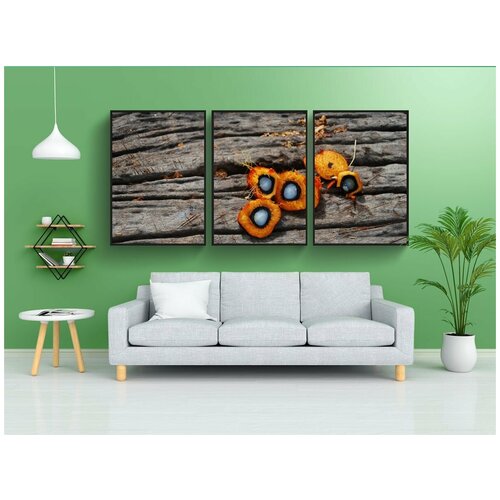 фото Набор модулных постеров для интерьера "пальмовое масло, пальма, масло" 60x90 см. в тубусе, без рамки lotsprints