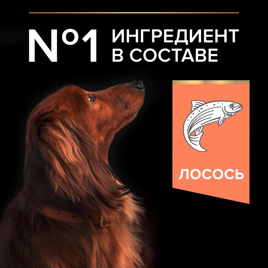 для мелких и карликовых пород с чувствительной кожей, лосось сух. 2,5кг+500г PRO PLAN - фото №20