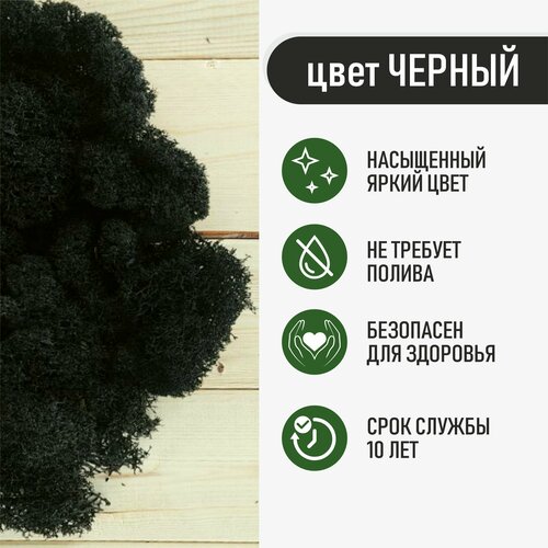 Мох стабилизированный цвет Черный, Ягель мох - 250 гр (№ 18) для декора, панно, кашпо, ваз, украшения интерьера, в авариум